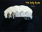 8 top or bottom, 4 fully flooded teeth